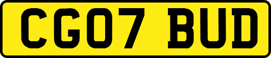 CG07BUD