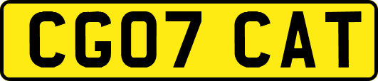 CG07CAT