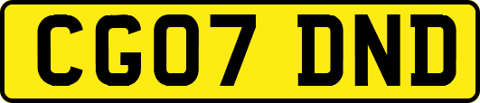 CG07DND