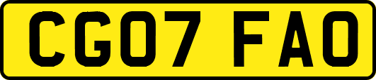 CG07FAO