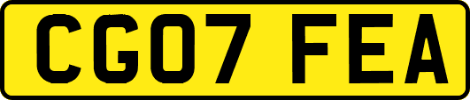 CG07FEA