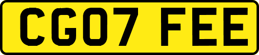CG07FEE