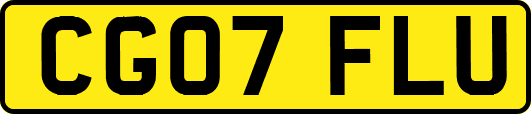 CG07FLU