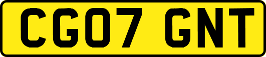 CG07GNT