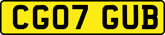 CG07GUB