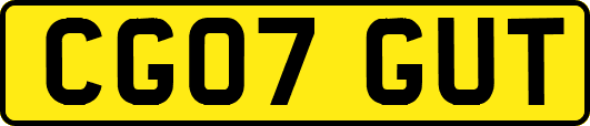 CG07GUT
