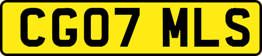 CG07MLS
