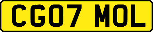 CG07MOL
