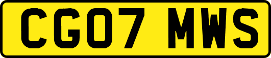 CG07MWS