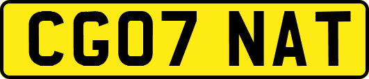 CG07NAT