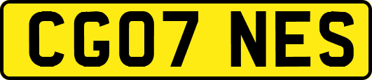 CG07NES