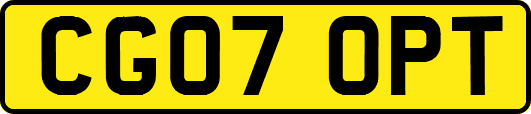 CG07OPT