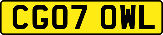 CG07OWL