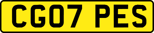 CG07PES