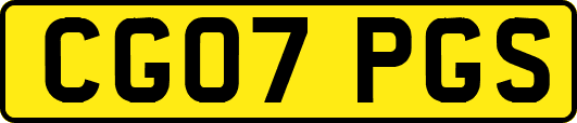 CG07PGS
