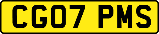 CG07PMS