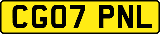 CG07PNL