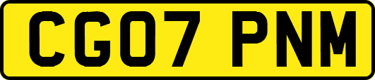 CG07PNM