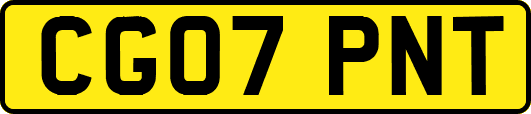 CG07PNT