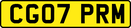 CG07PRM