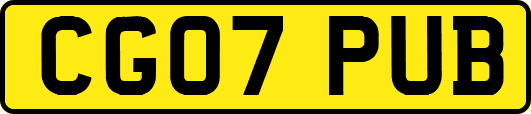 CG07PUB