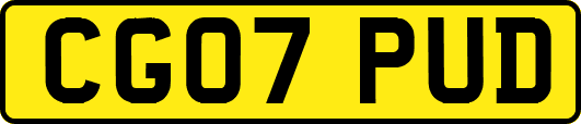 CG07PUD