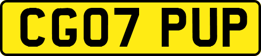 CG07PUP