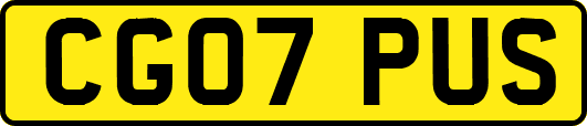 CG07PUS