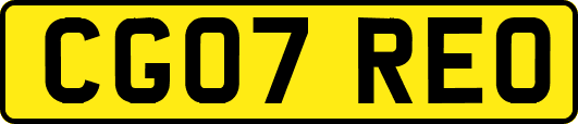 CG07REO