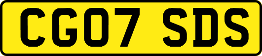 CG07SDS