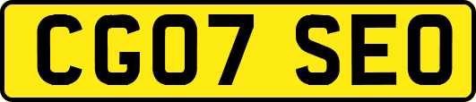 CG07SEO