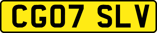 CG07SLV