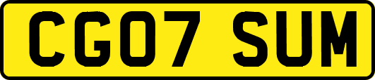 CG07SUM