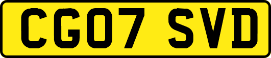 CG07SVD