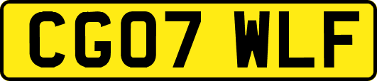 CG07WLF