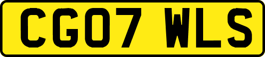 CG07WLS