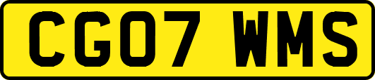 CG07WMS