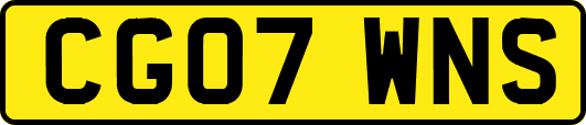 CG07WNS