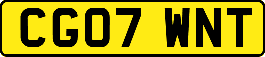 CG07WNT