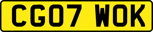 CG07WOK