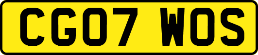 CG07WOS