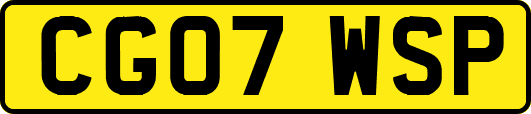 CG07WSP