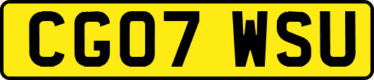 CG07WSU
