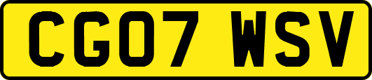 CG07WSV