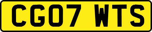 CG07WTS