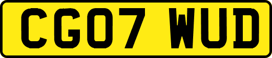 CG07WUD