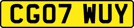 CG07WUY