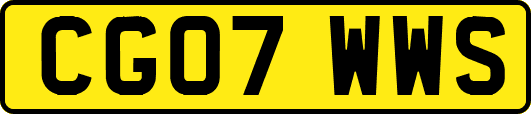 CG07WWS