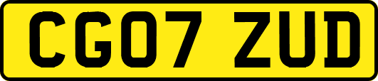 CG07ZUD