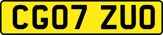 CG07ZUO